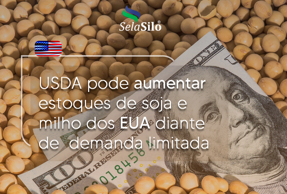 USDA pode aumentar estoques de soja e milho dos EUA