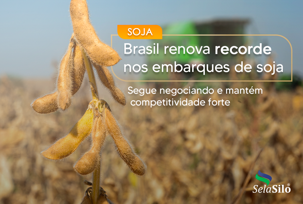 Brasil renova recorde nos embarques de soja