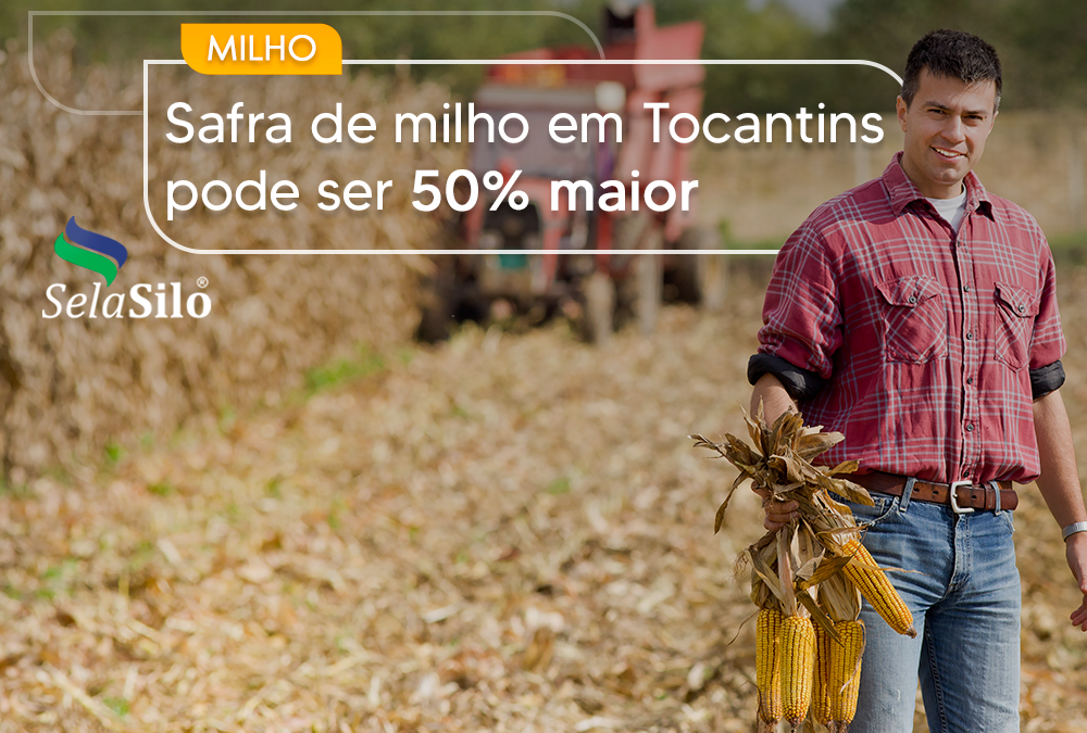 Safra de milho em tocantins pode ser 50% maior