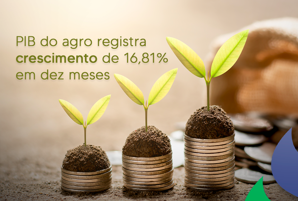 PIB do agro registrou crescimento de 16,81% em dez meses