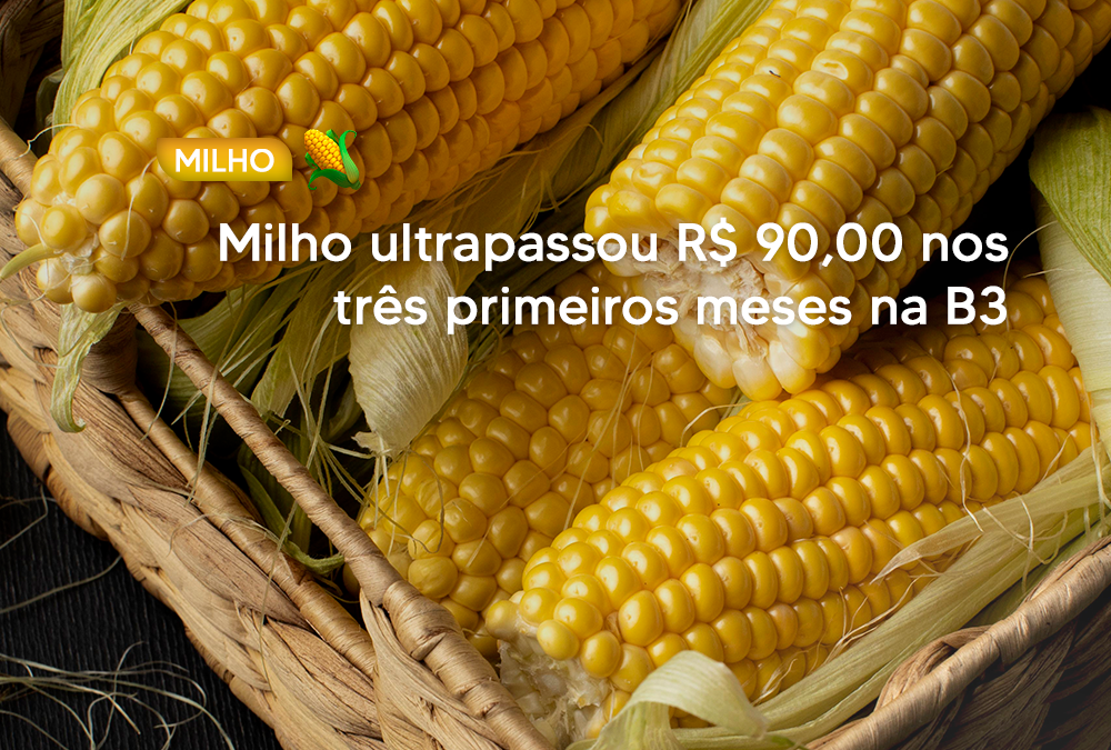 Milho ultrapassou R$ 90,00 nos três primeiros meses na B3