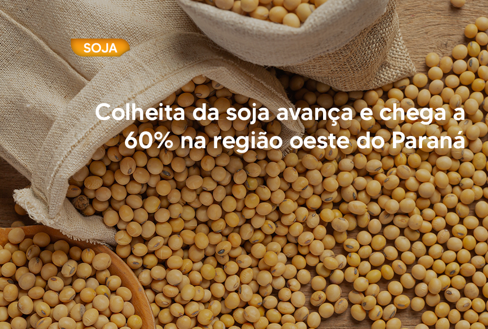 Colheita da soja avança e chega a 60% na região oeste do Paraná