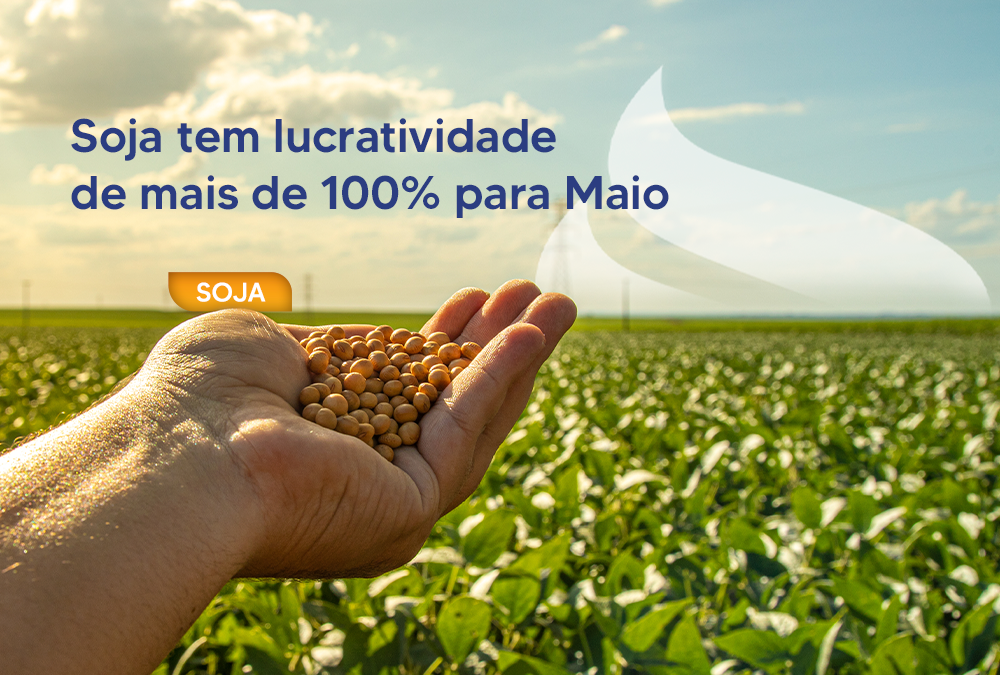 Soja tem lucratividade de mais de 100% para Maio