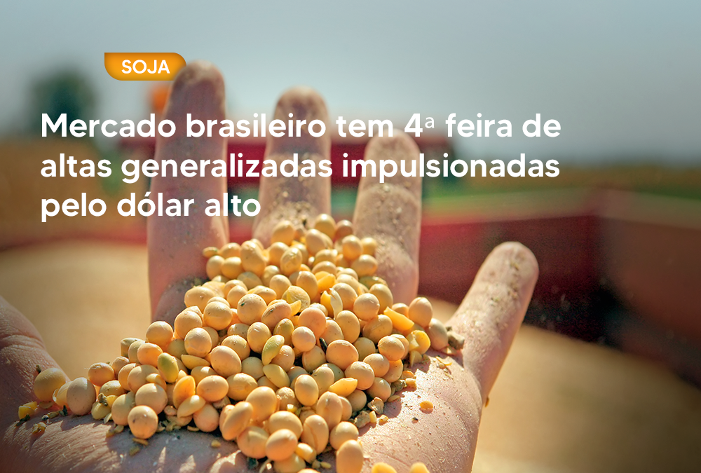 Mercado brasileiro tem 4ª feira de altas generalizadas impulsionadas pelo dólar alto