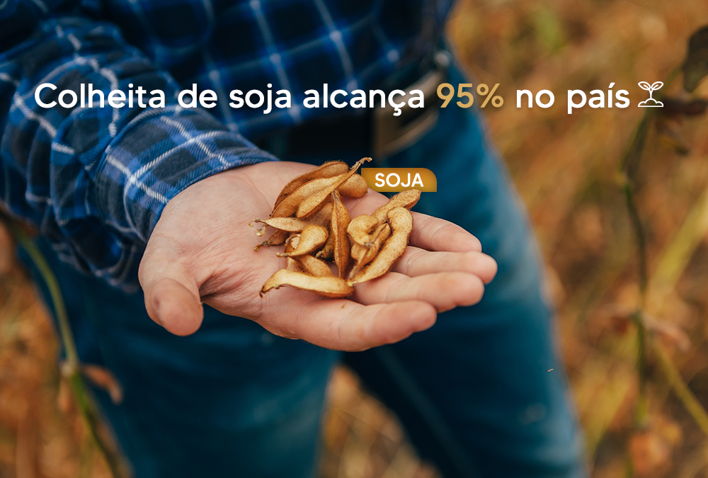 Colheita de soja alcança 95% no país