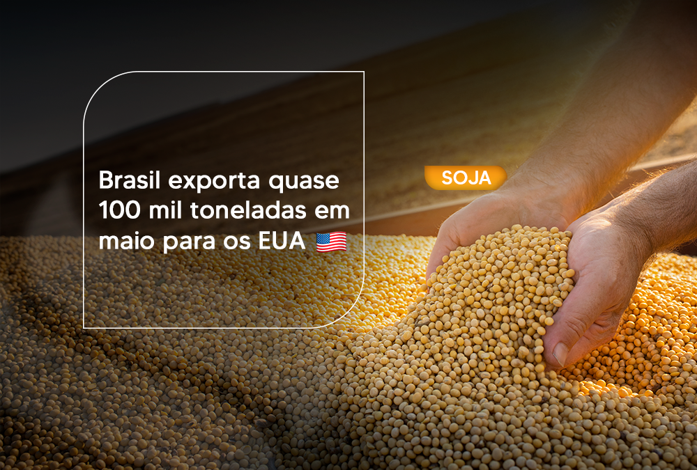 Brasil exporta quase 100 mil toneladas em maio para os EUA