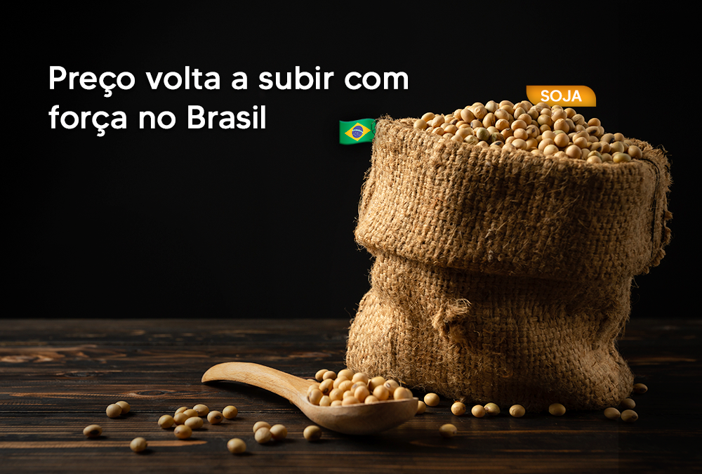 Preço volta a subir com força no Brasil