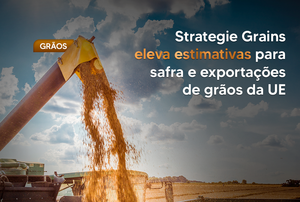 Strategie Grains eleva estimativas para safra e exportações de grãos da UE