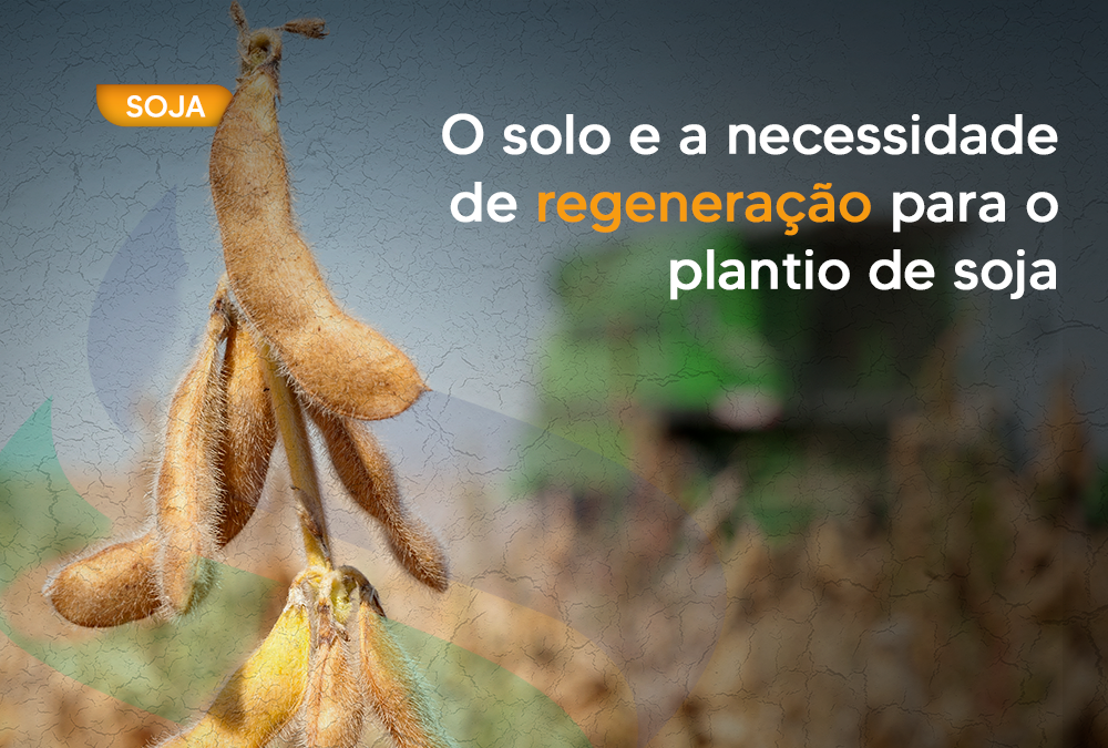 O solo e a necessidade de regeneração para o plantio de soja