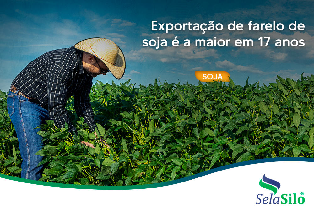 Exportação de farelo de soja é a maior em 17 anos