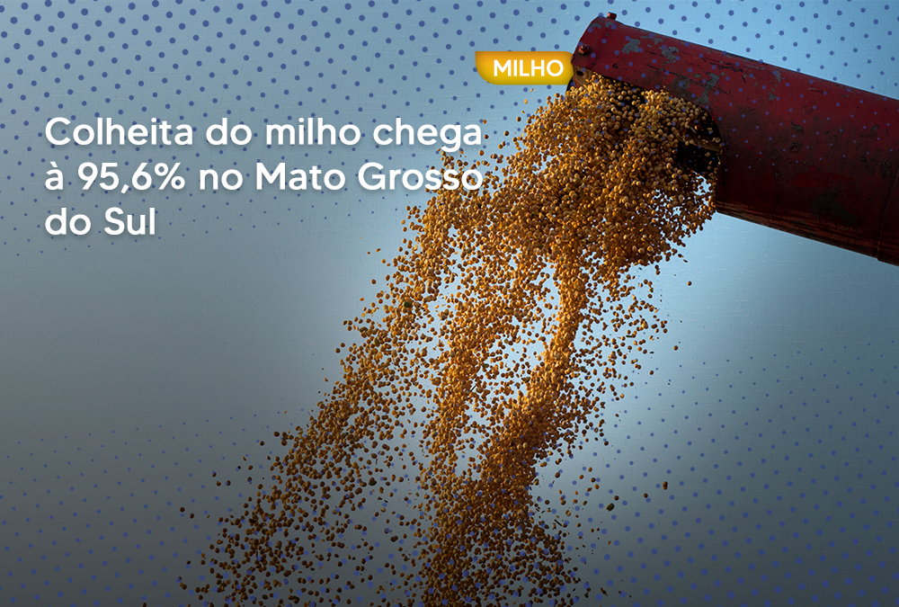 Colheita do milho chega à 95,6% no Mato Grosso do Sul