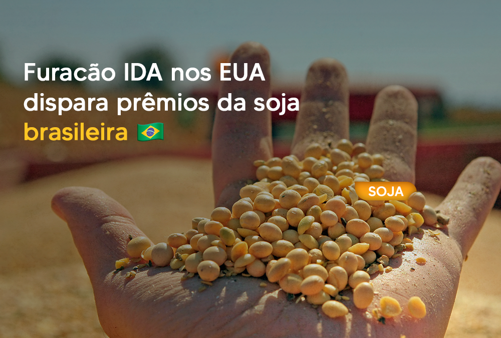 Furacão IDA nos EUA dispara prêmios da soja brasileira