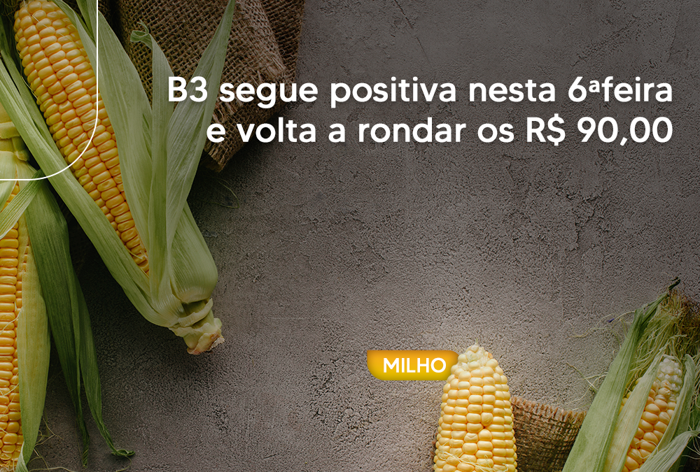 B3 segue positiva nesta 6ªfeira e volta a rondar os R$ 90,00