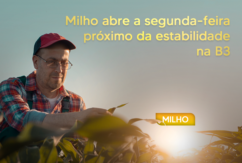 Milho abre a segunda-feira próximo da estabilidade na B3