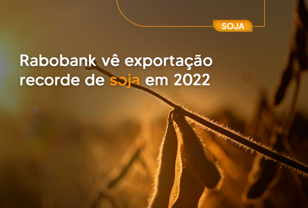 Rabobank vê exportação recorde de soja em 2022