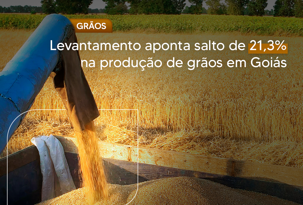 Levantamento aponta salto de 21,3% na produção de grãos em Goiás