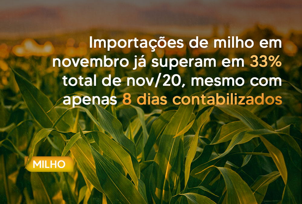 Importações de milho em novembro já superam em 33% total de nov/20, mesmo com apenas 8 dias contabilizados