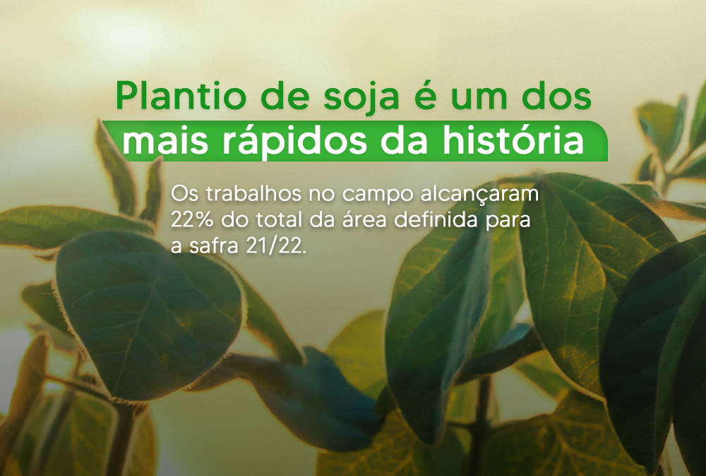 Plantio de soja é um dos mais rápidos da história