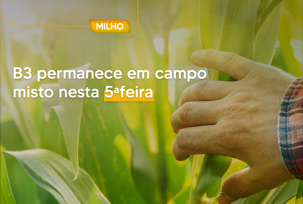 B3 permanece em campo misto nesta 5ªfeira