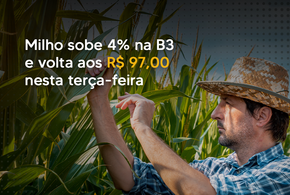 Milho sobe 4% na B3 e volta aos R$ 97,00 nesta terça-feira