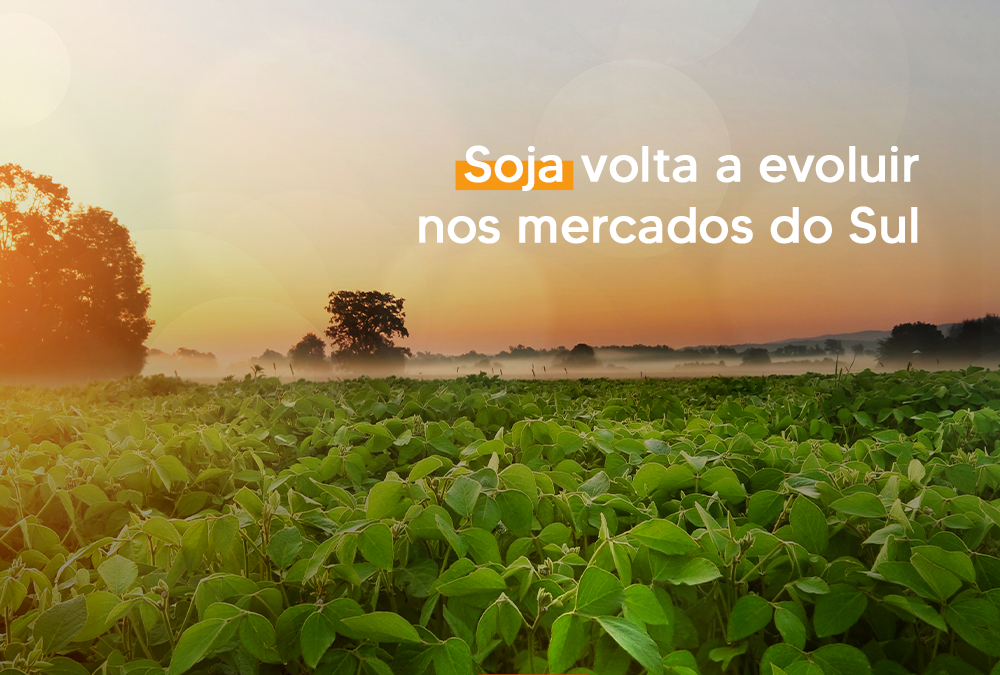 Soja volta a evoluir nos mercados do Sul