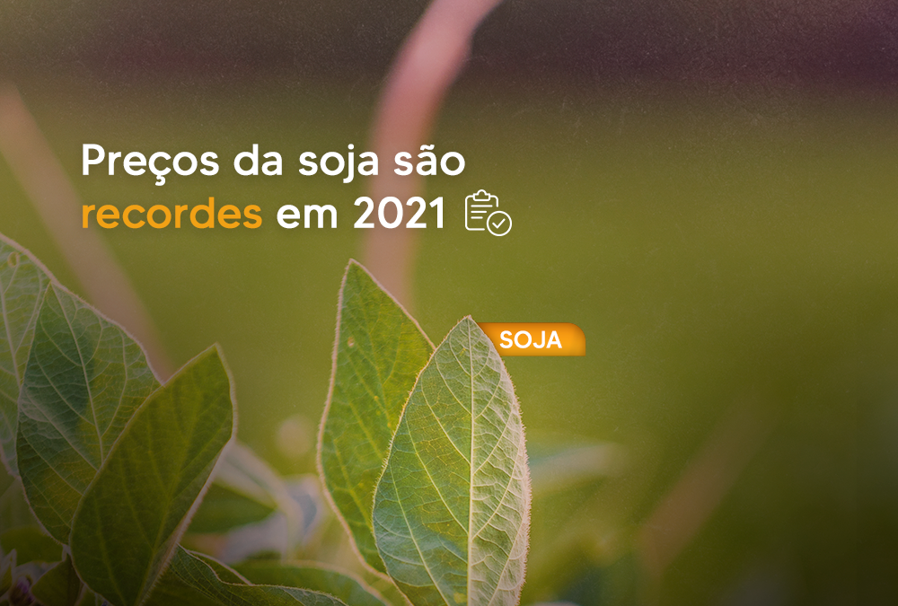 Preços da soja são recordes em 2021