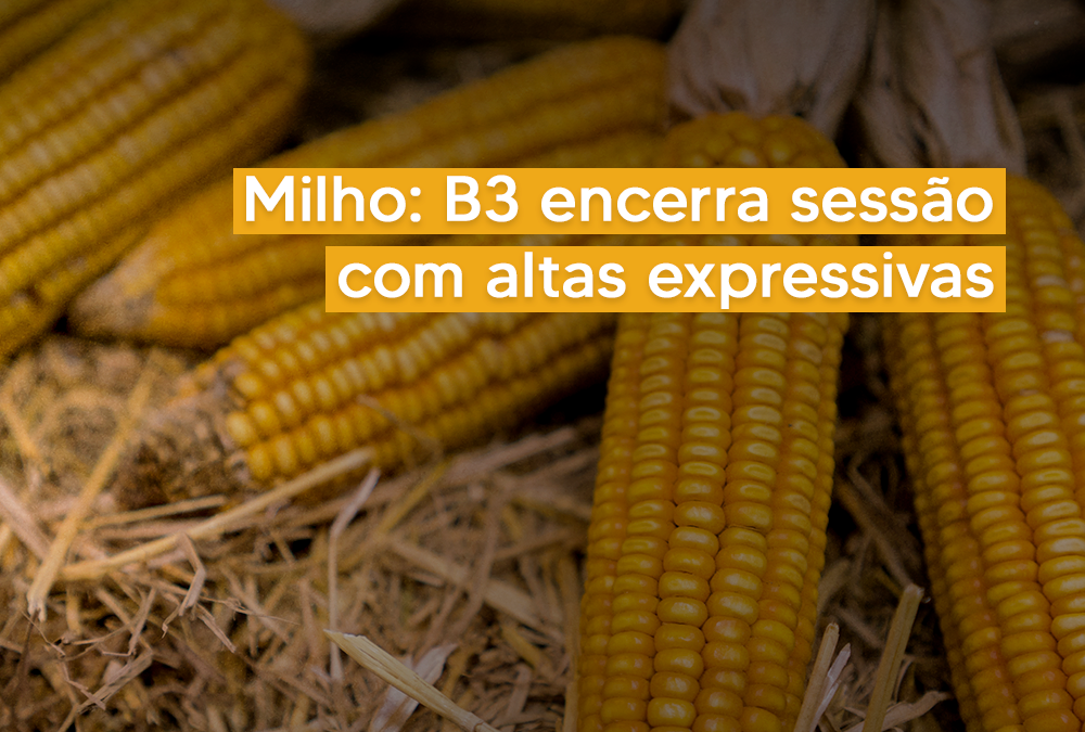 Milho: B3 encerra sessão com altas expressivas