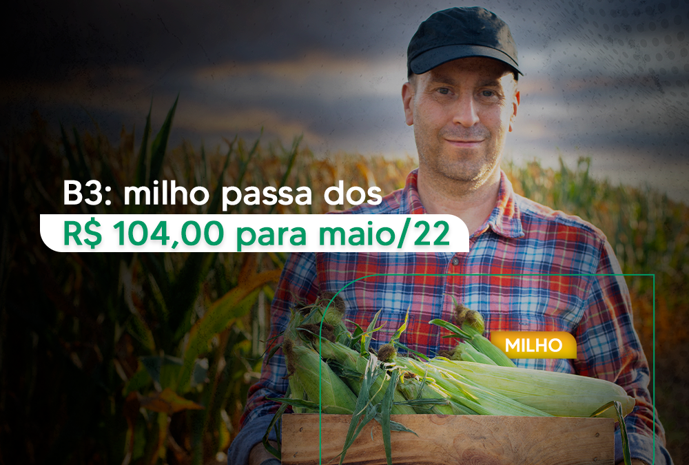 B3: milho passa dos R$ 104,00 para maio/22