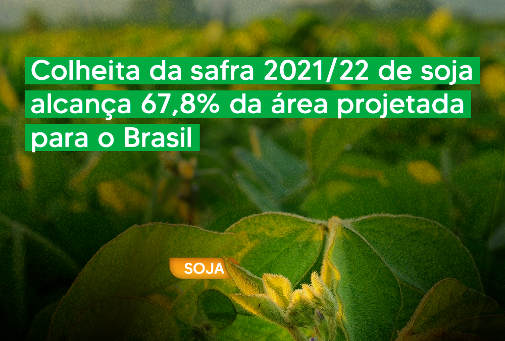 Colheita da safra 2021/22 de soja alcança 67,8% da área projetada para o Brasil