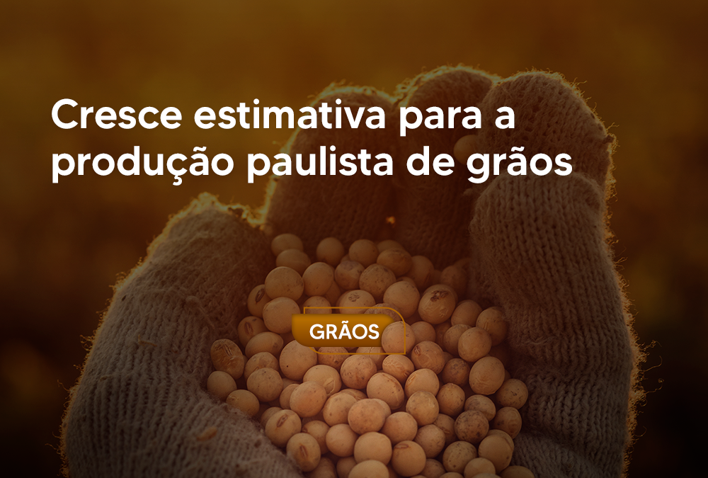 Cresce estimativa para a produção paulista de grãos