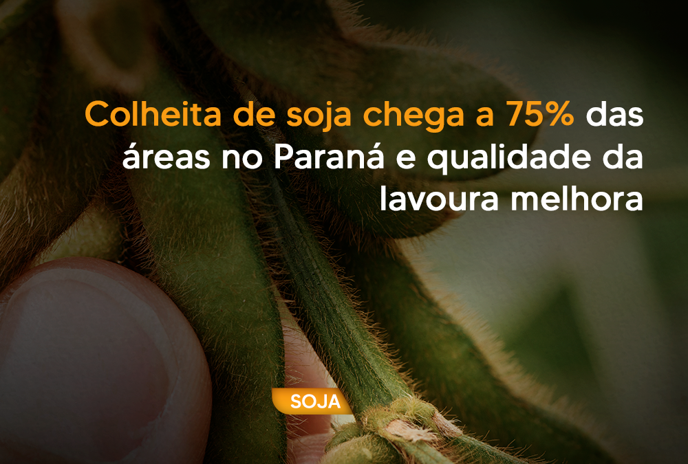 Colheita de soja chega a 75% das áreas no Paraná e qualidade da lavoura melhora