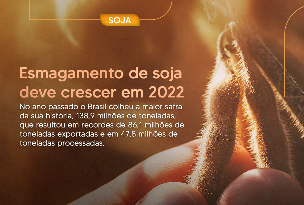 Esmagamento de soja deve crescer em 2022