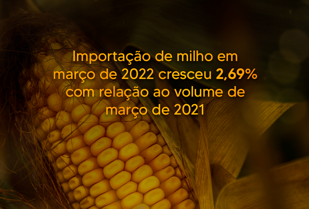 Importação de milho em março de 2022 cresceu 2,69% com relação ao volume de março de 2021