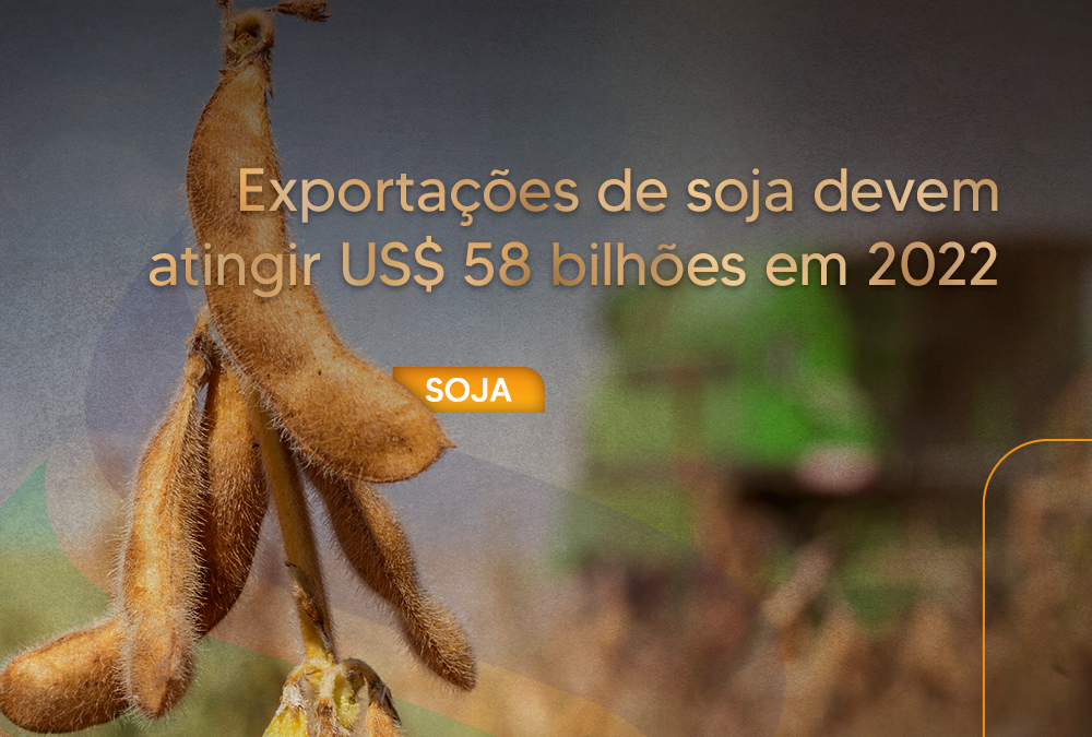 Exportações de soja devem atingir US$ 58 bilhões em 2022