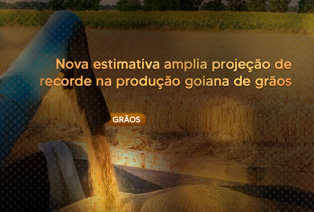 Nova estimativa amplia projeção de recorde na produção goiana de grãos